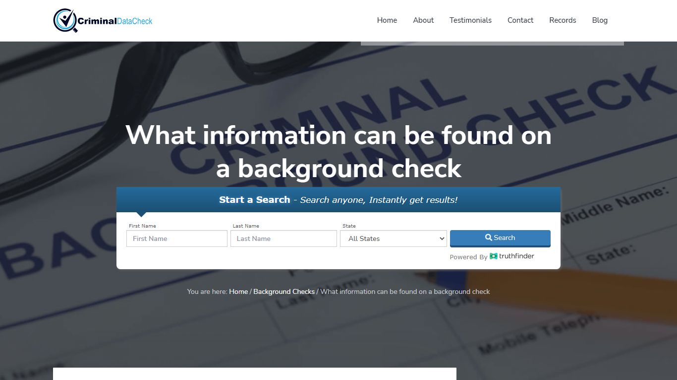 What information can be found on a background check